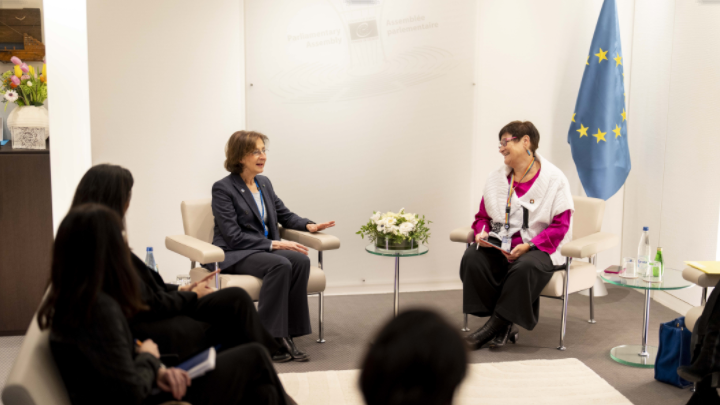 The President of the Venice Commission meets the President of the Parliamentary Assembly of the Council of Europe