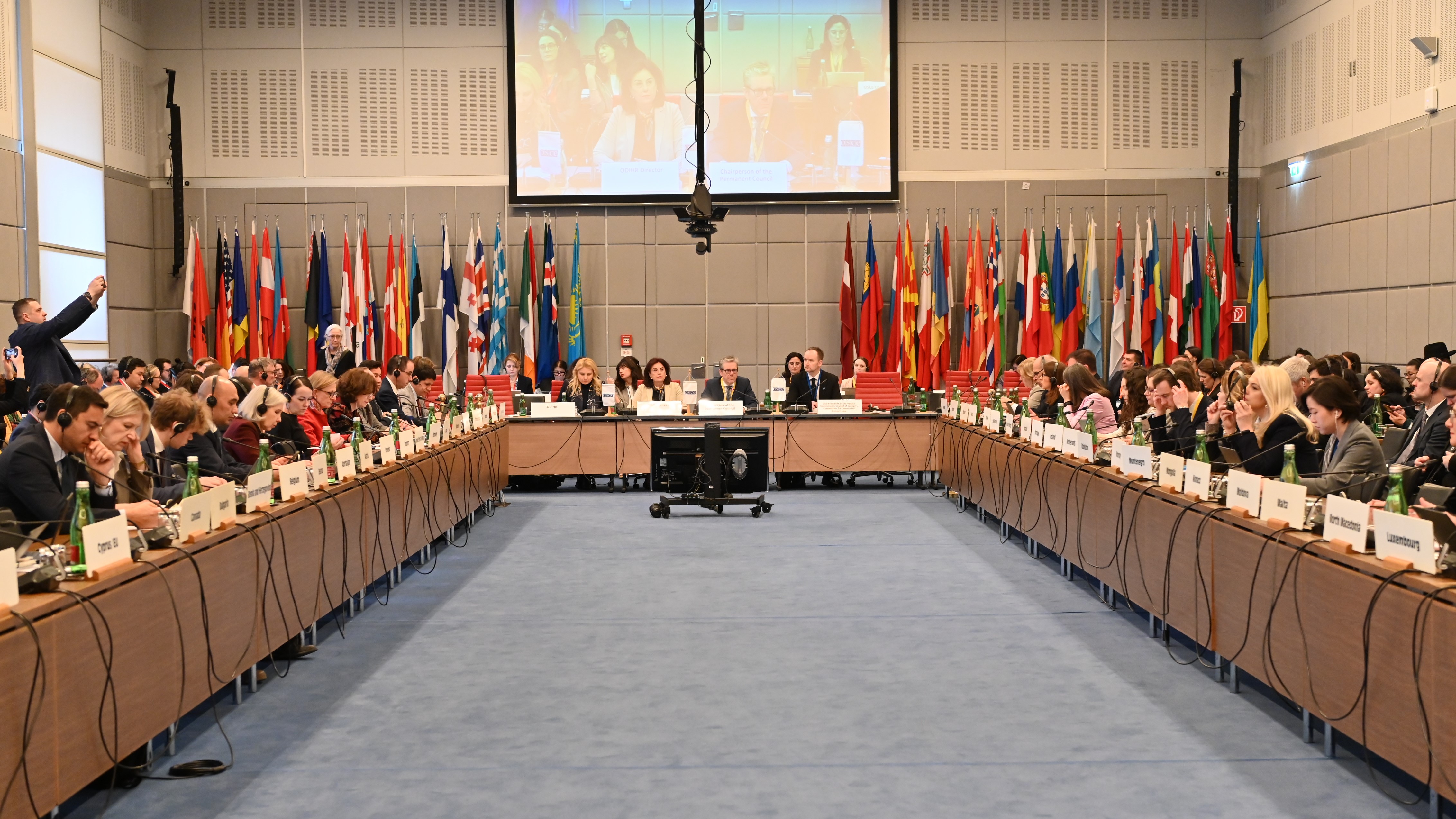 Le vice-président de la Commission de Venise prononce un discours liminaire lors de la réunion supplémentaire sur la dimension humaine de l'OSCE ODIHR : « Légiférer pour la résilience démocratique »