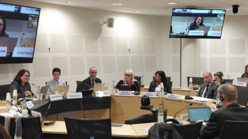 Participation of the Venice Commission of the Council of Europe in the first meeting of the Drafting group on the protection of the right to vote and to stand for election under the ECHR (CDDH-VOTE)
