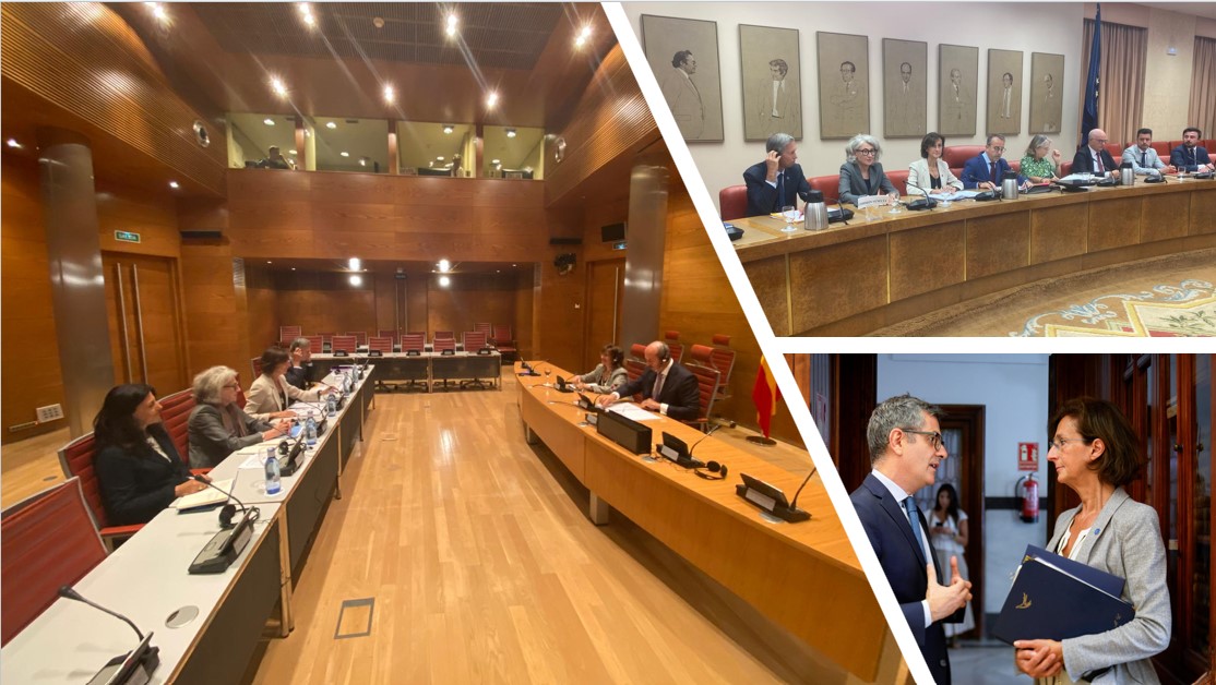 Spain – Forthcoming opinion – Country visit
