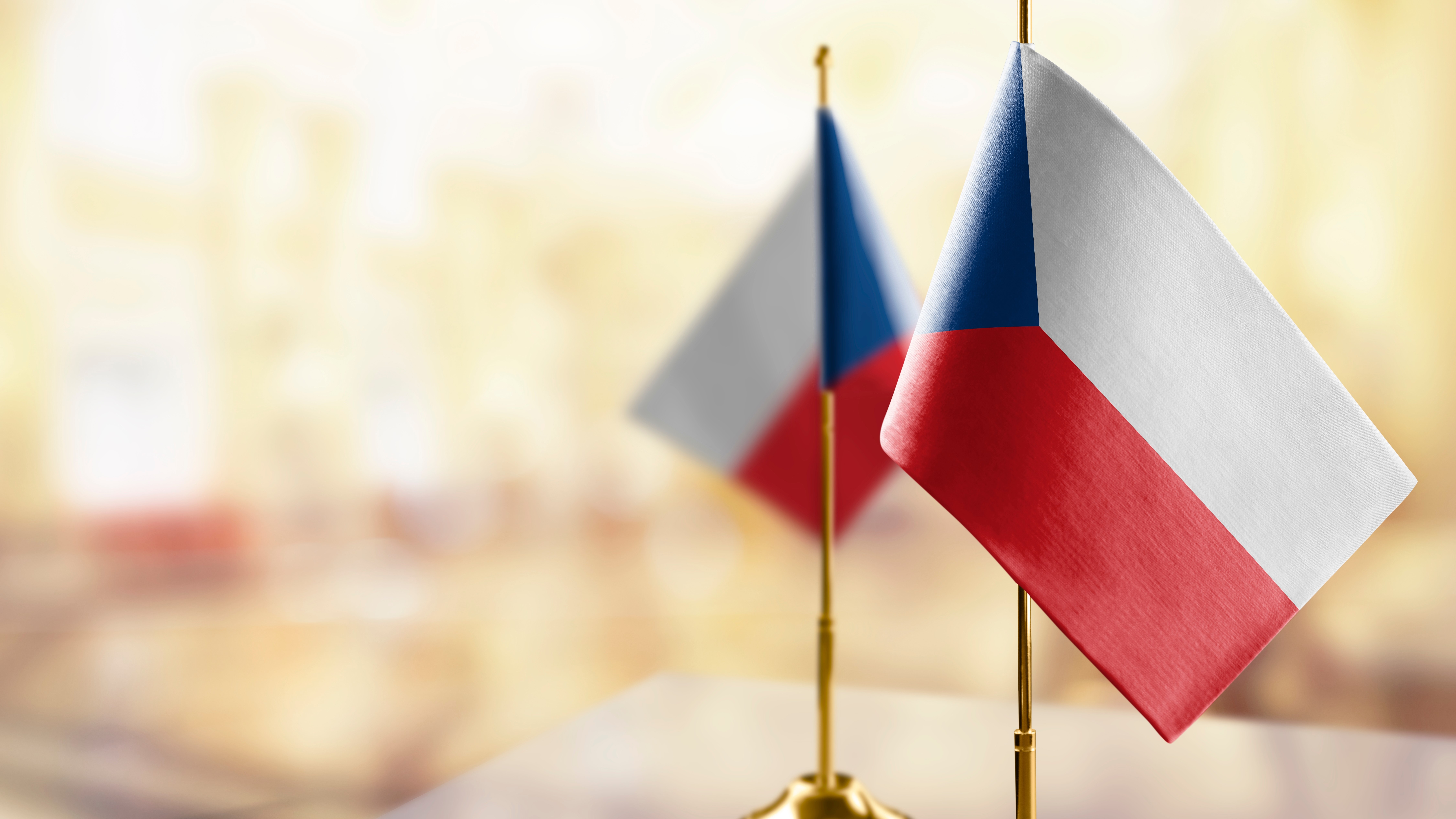 Czechia makes a voluntary contribution