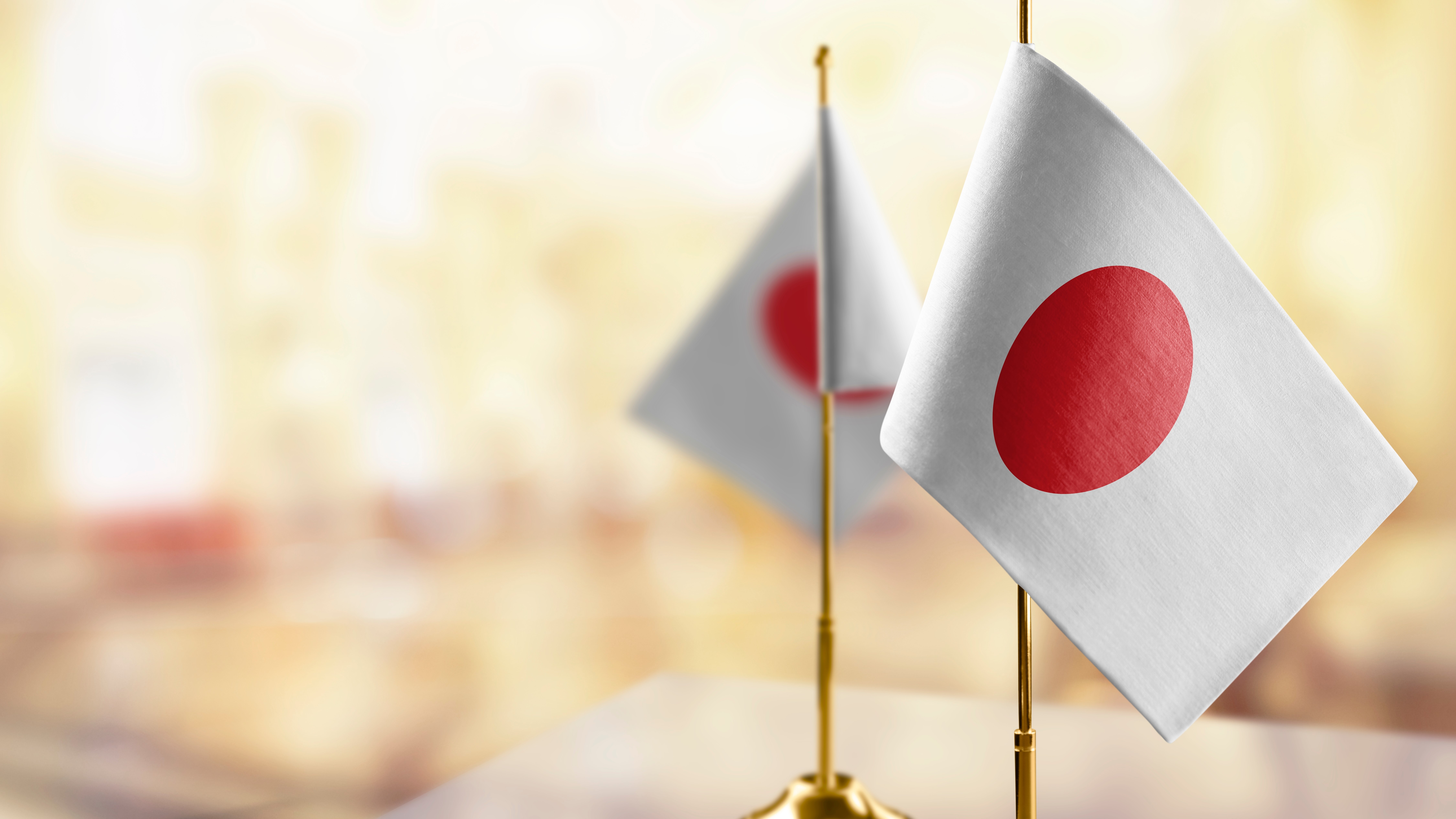Japan makes a voluntary contribution