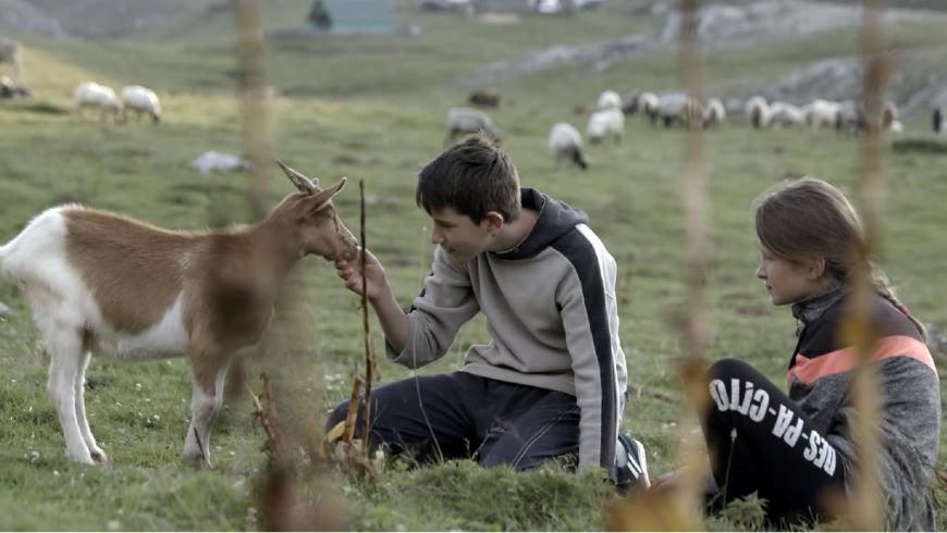© THE LAST NOMADS by Biljana Tutorov & Petar Glomazić, Wake Up Films