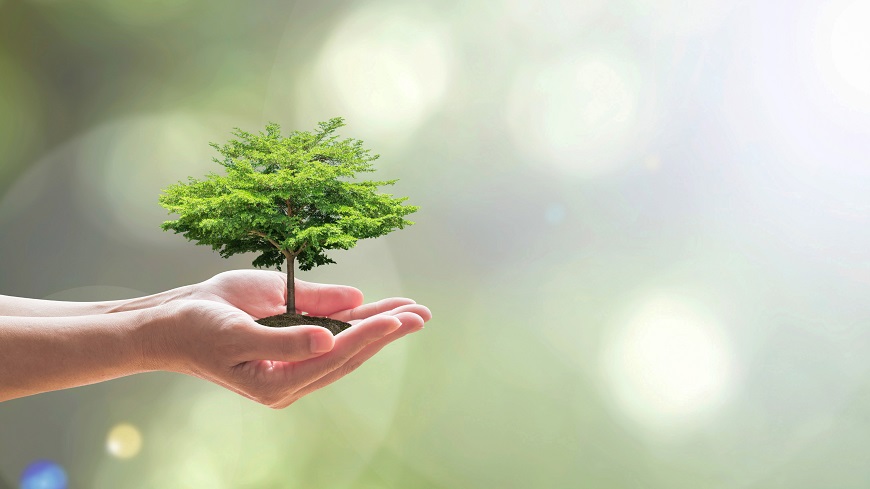 Quatrième réunion du Comité intergouvernemental pour l'Environnement du Conseil de l'Europe (GME)