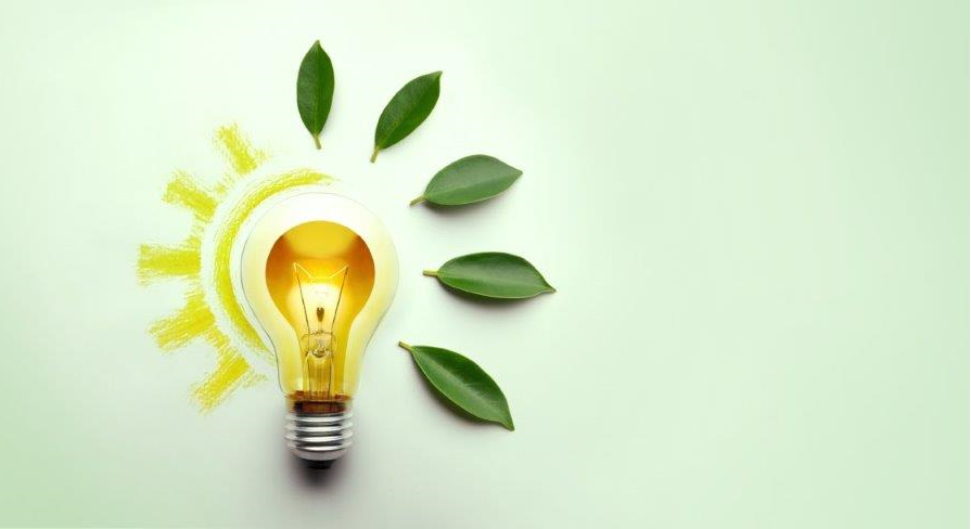 Cinquième réunion du Comité intergouvernemental pour l'Environnement du Conseil de l'Europe