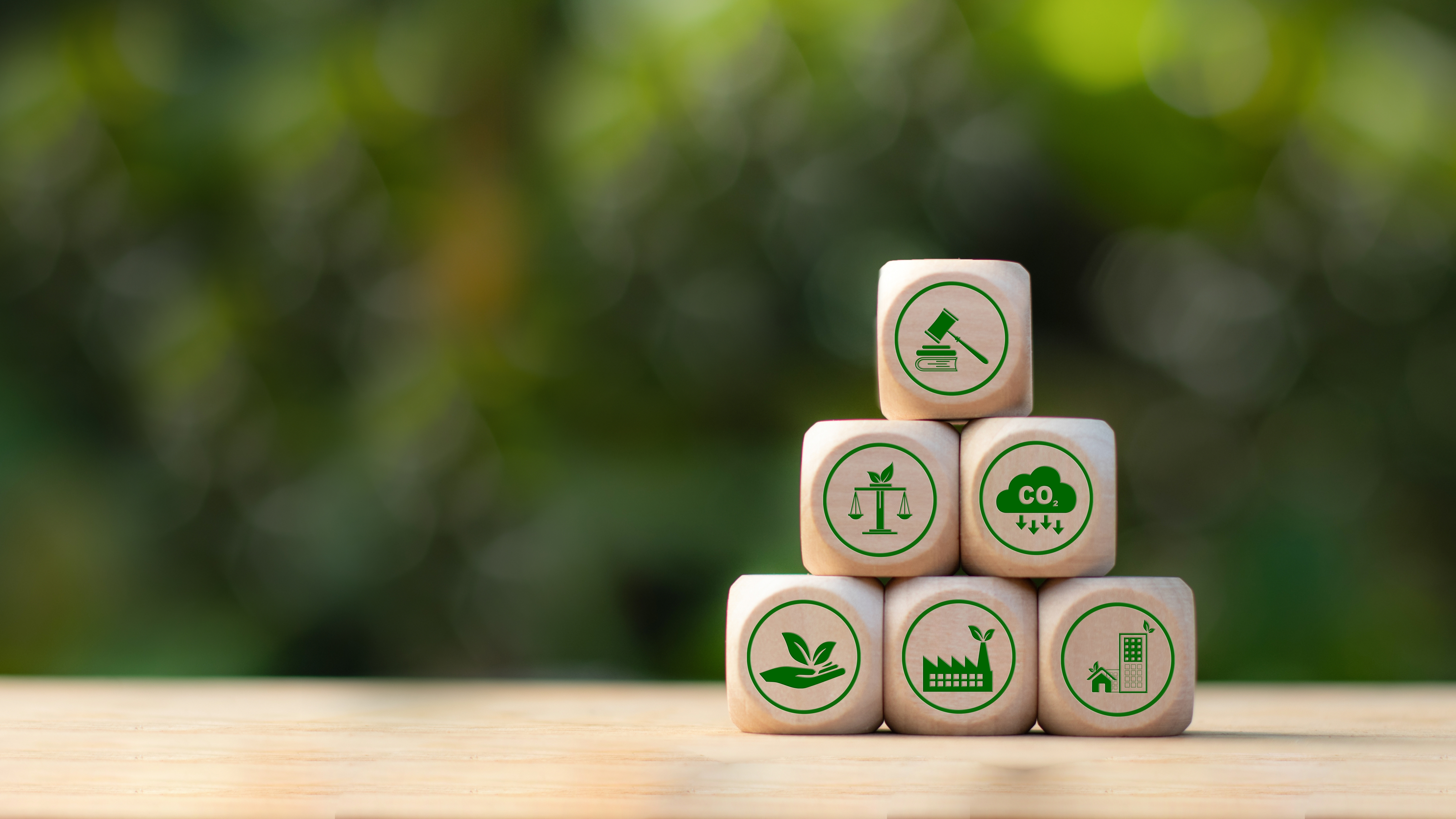 Le Conseil de l'Europe lance un nouveau Comité directeur sur l'environnement