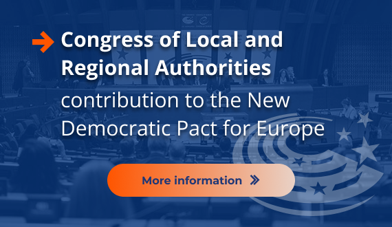 Link to Congress contribution towards the New Democratic Pact