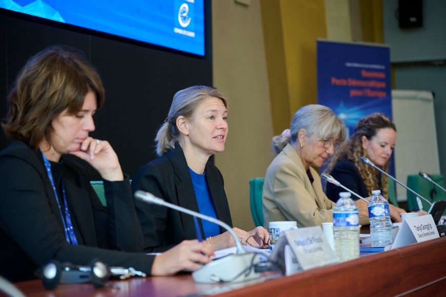 Les comités intergouvernementaux du Conseil de l’Europe réfléchissent à l’avenir de la sécurité démocratique