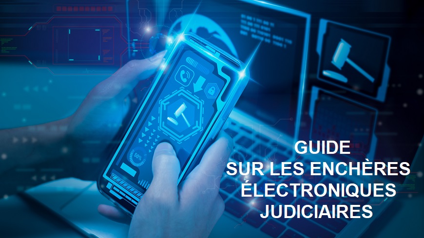 Un Guide sur les enchères judiciaires électroniques adopté et publié par la CEPEJ