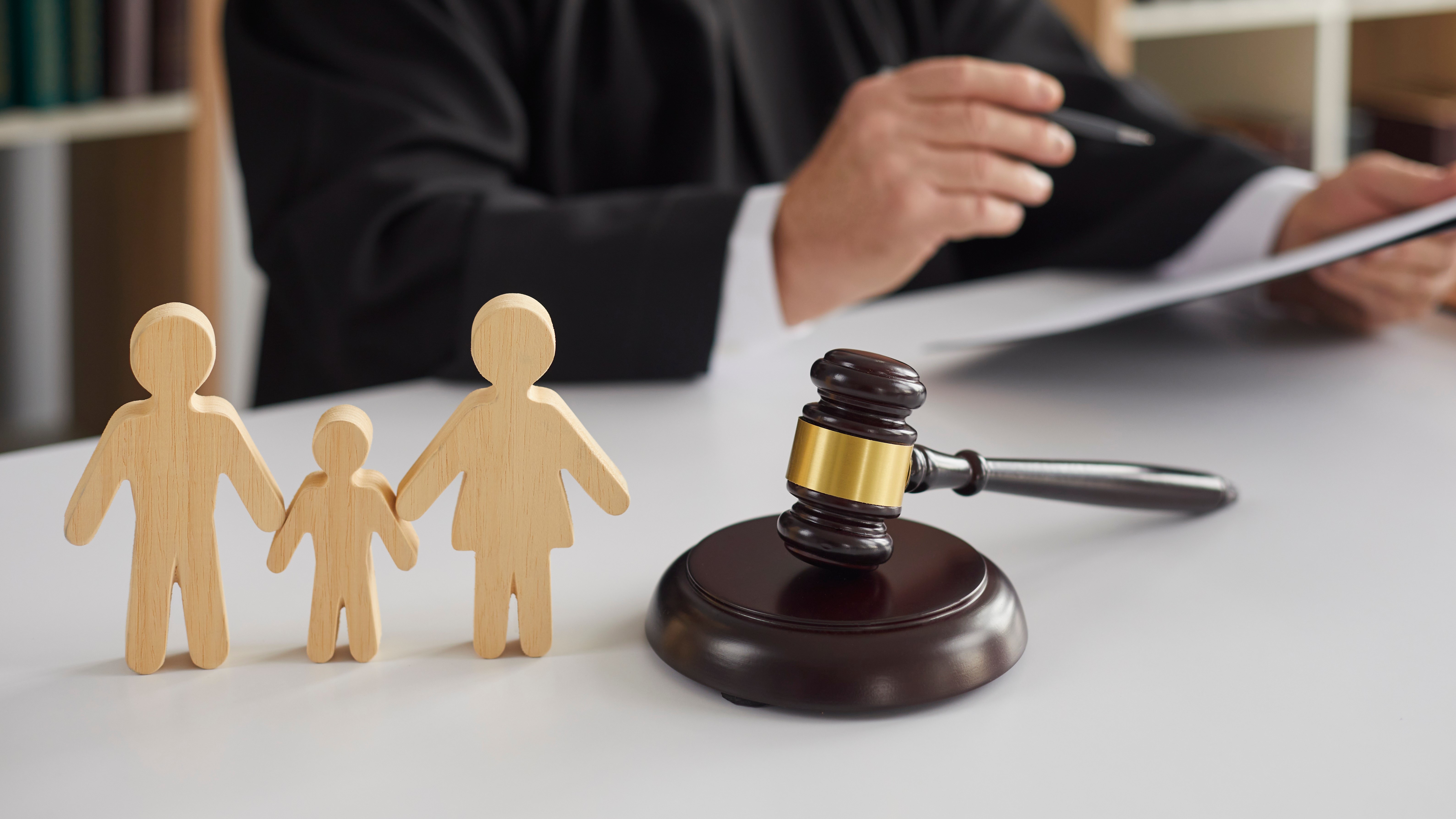 Support to improving the enforcement of judgements concerning child custody in the Republic of Moldova