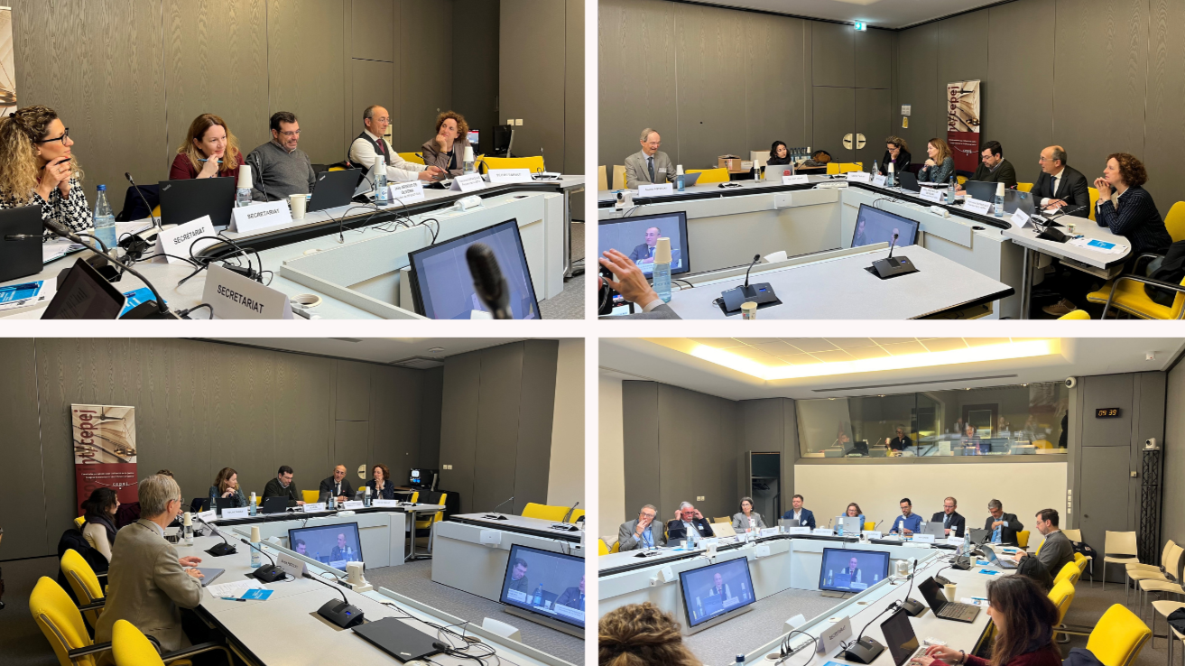 36th meeting of the CEPEJ Working Group on Quality of Justice