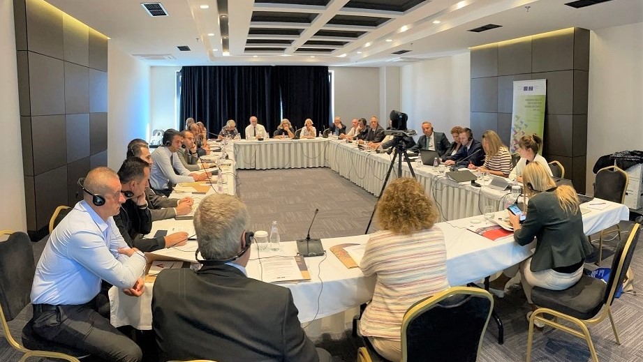 Capacity-building sessions on CEPEJ performance indicators for courts in Kosovo*