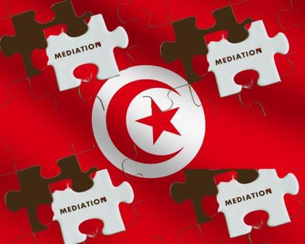 Mediation training seminar for Tunisian lawyers