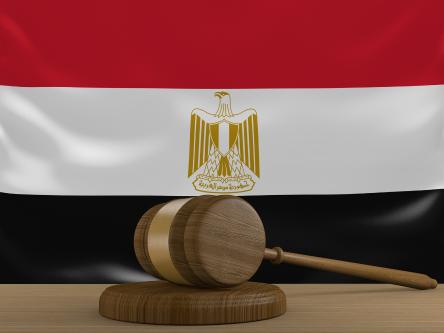 Round table on “How to reduce the length of the proceedings in Egyptian administrative courts and good practices from European countries”