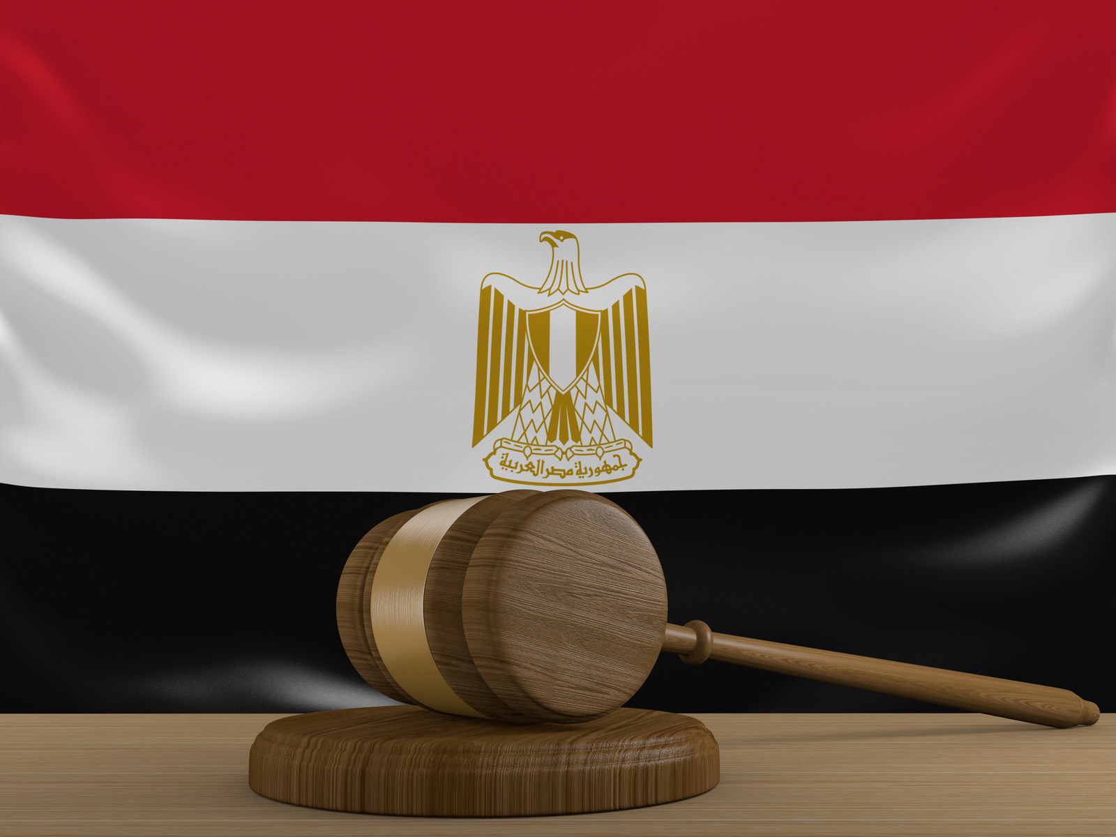 Table ronde sur « Comment réduire la durée des procédures dans les tribunaux administratifs égyptiens et bonnes pratiques des pays européens »