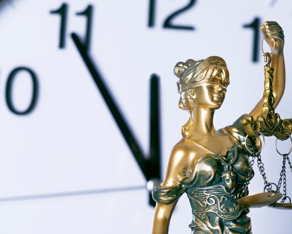 Webinaire sur la durée raisonnable des procédures et l'arriéré des affaires dans les tribunaux géorgiens