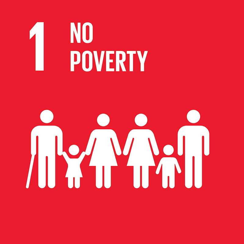 link to goal 1 No poverty