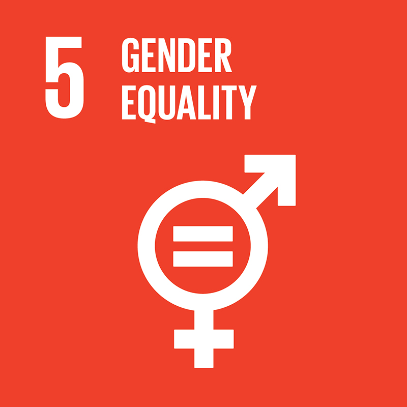 Link to goal 5 Gender equality
