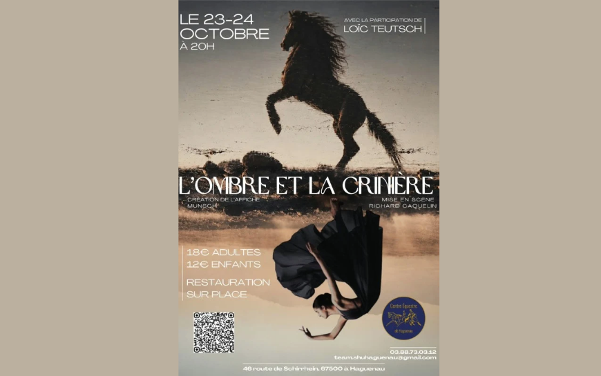 L’Ombre et la Crinière : Spectacle équestre à Haguenau - AMICALE DU ...