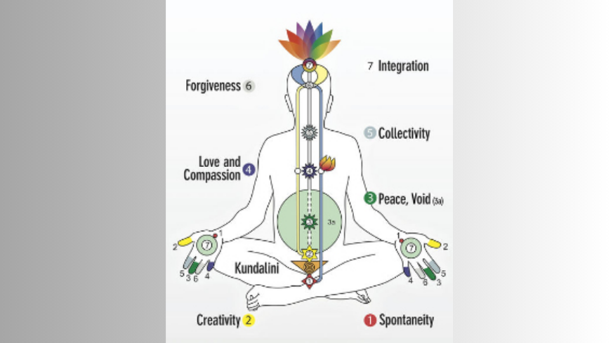 Restarting of meditation sessions in Palais