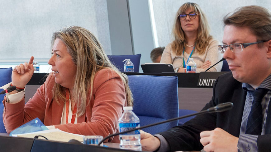 ECRI Chair to the Council of Europe’s Committee of Ministers: alarm bells are ringing over racism and intolerance