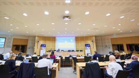 ECRI holds its 88th plenary meeting