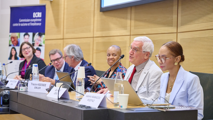 ECRI holds its 101st plenary meeting and exchanges views with United Nations partners dealing with racial profiling by law enforcement officials