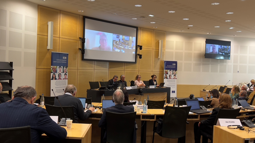 Exchange of views with Cath Larkins, Co-director of the Centre for Children and Young People’s Participation (on the screen) and Regina Jensdottir, Council of Europe’s Co-ordinator for the Rights of the Child (second person from the right).