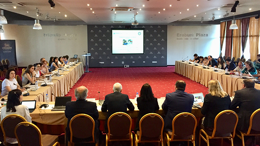 Table ronde de l'ECRI à Erevan