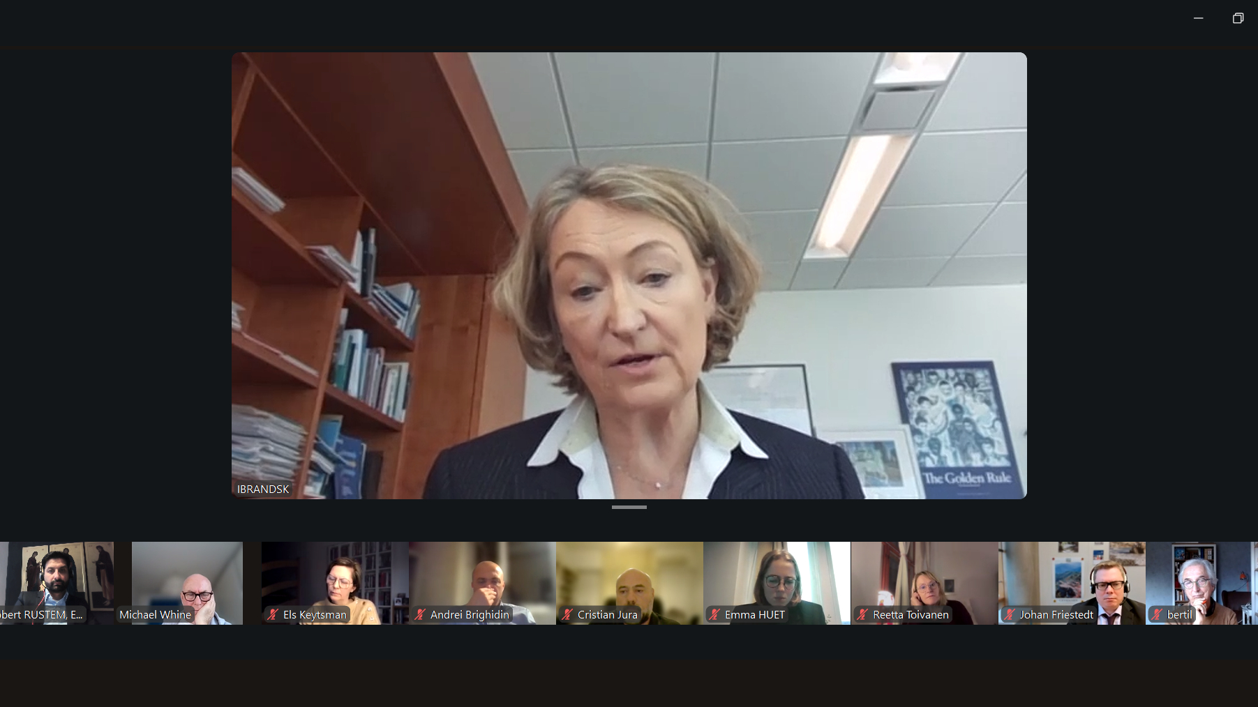 Ilze Brands Kehris, United Nations (UN) Assistant Secretary-General for Human Rights