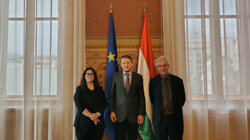 Council of Europe anti-racism Commission to prepare report on Hungary