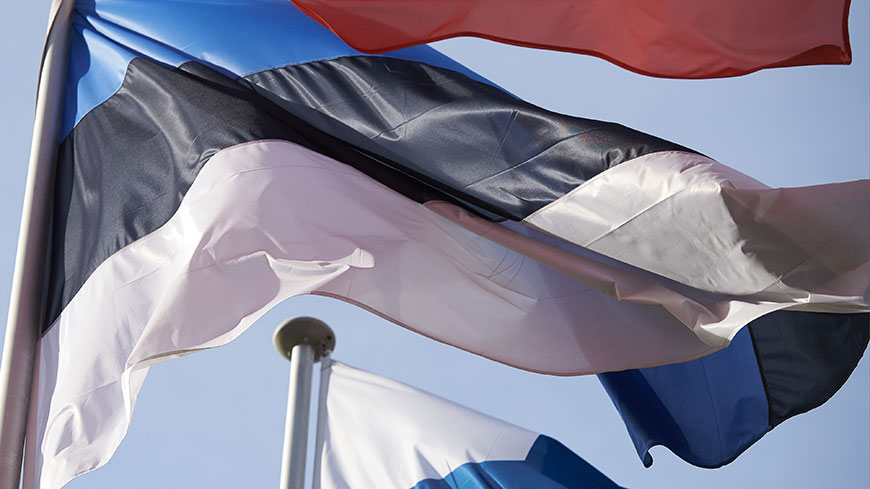 Report on racism and intolerance in Estonia: improve anti-discrimination legislation and combat hate speech