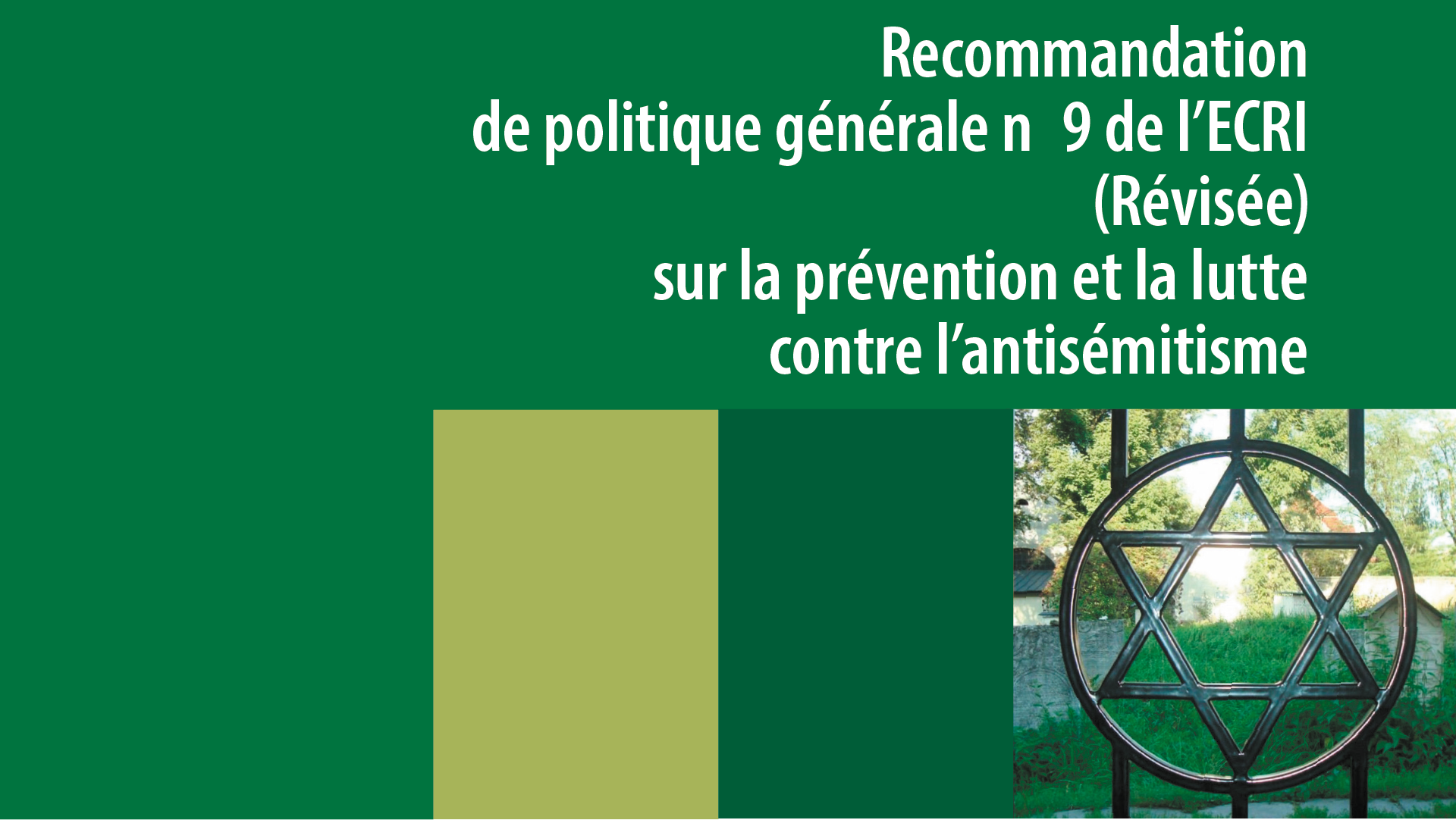 La Commission européenne contre le racisme et l’intolérance (ECRI) publie une nouvelle Recommandation de politique générale à l’intention des 47 Etats membres du Conseil de l’Europe.