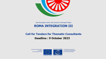 Roma Integration III Call for Tenders: Thematic Consultants