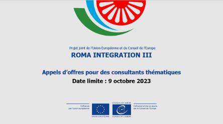 Roma Integration III - Appels d’offres : Consultants thématiques