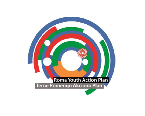 Roma youth action plan