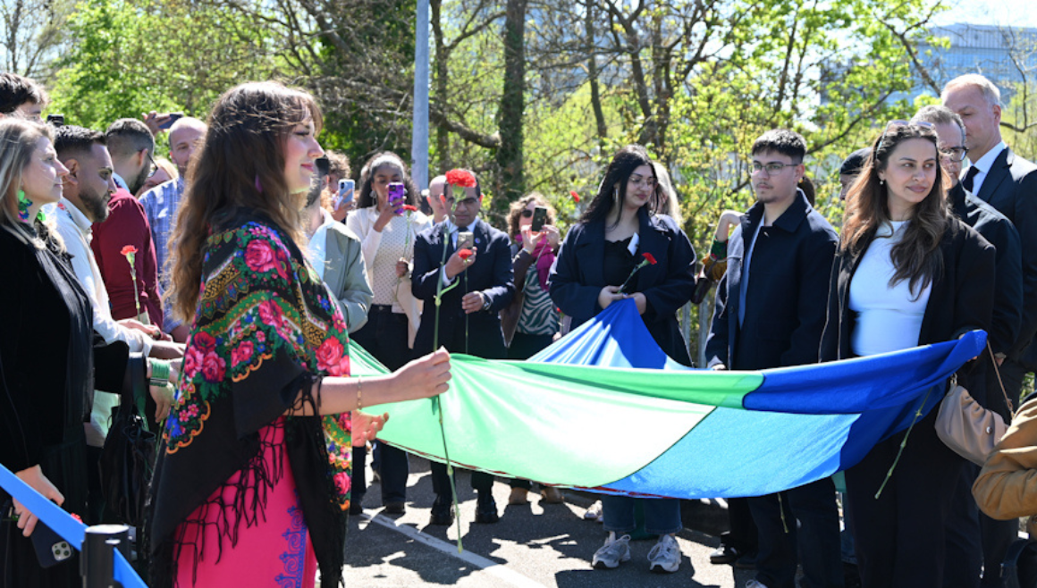 Roma Youth Together Seminar 2026 – Celebration ✿ Pride ✿ Contribution