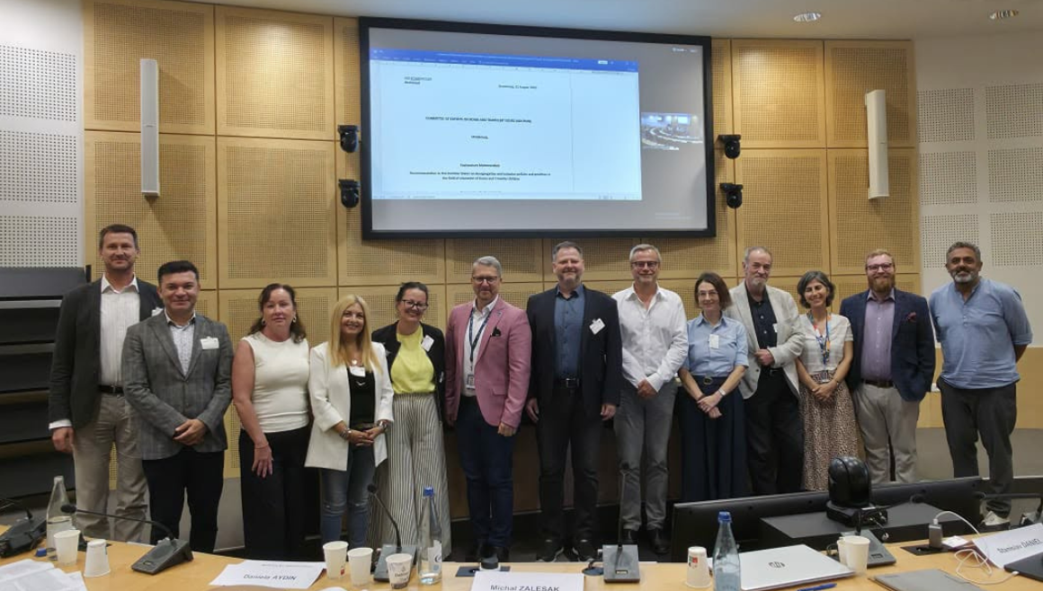 ADI-ROM drafting group completes work on the draft recommendation on desegregation and inclusion in policies for Roma and Traveller children
