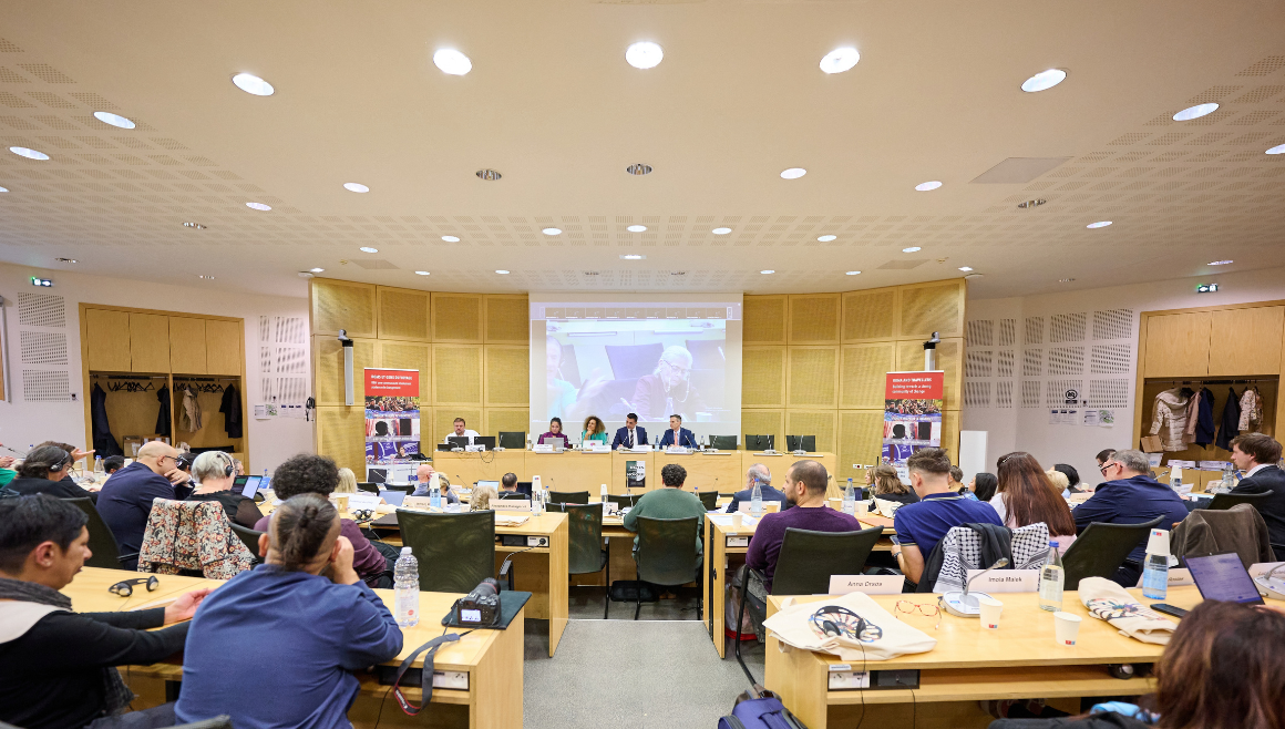 Security Policies and Inclusion: Exploring Effects on Roma and Traveller Communities