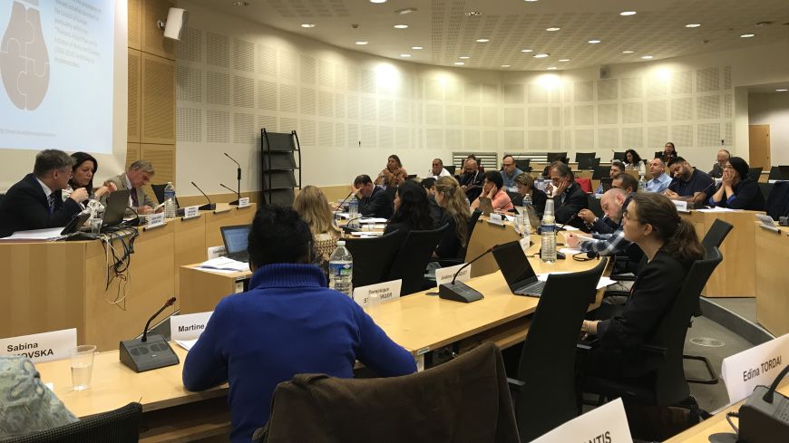 6th meeting of the Council of Europe Dialogue with Roma and Traveller civil society
