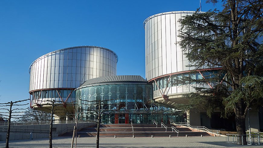 Комиссар Миятович выступает в Европейском суде по правам человека третьей стороной по делу о воссоединении семьи в Дании