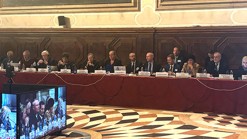 The Commissioner and the Venice Commission: complementary human rights actors