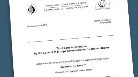 Комиссар Миятович выступила в качестве третьей стороны в Страсбургском суде по вопросу о праве голоса лиц с ограниченными возможностями