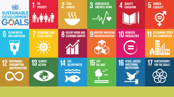The new development agenda should fulfil human rights
