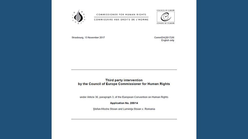 Commissioner Muižnieks intervenes before the Strasbourg Court on equal access to education for children with disabilities