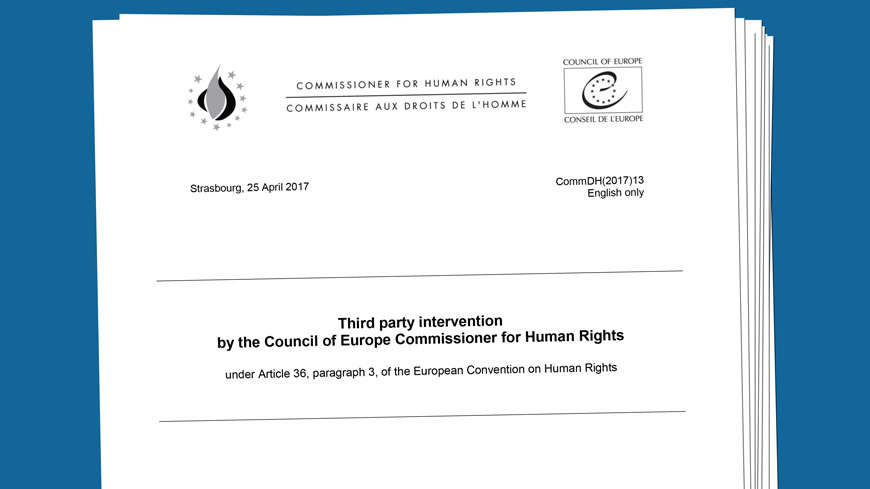The Commissioner intervenes before the European Court of Human Rights in a group of cases concerning anti-terrorism operations in South-Eastern Turkey