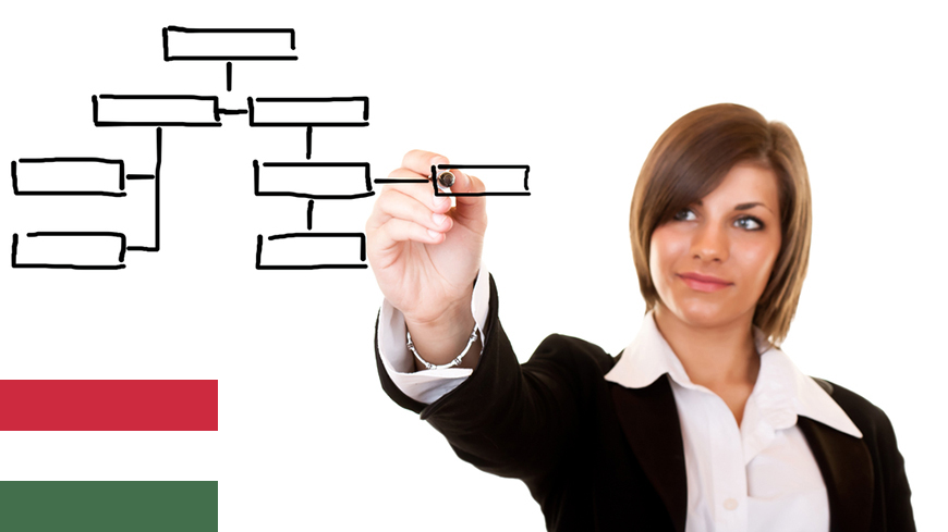 Hungary - 1. Organisations