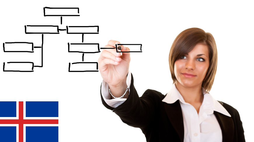 Iceland - 1. Organisations