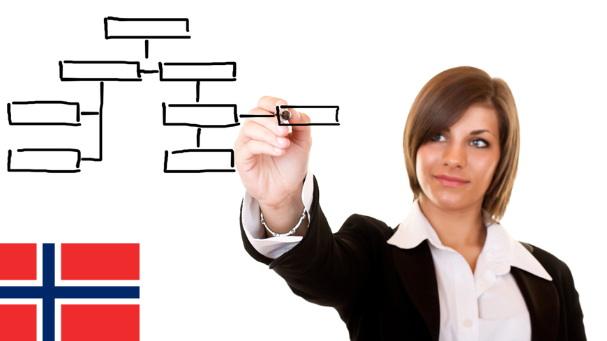 Norway - 1. Organisations