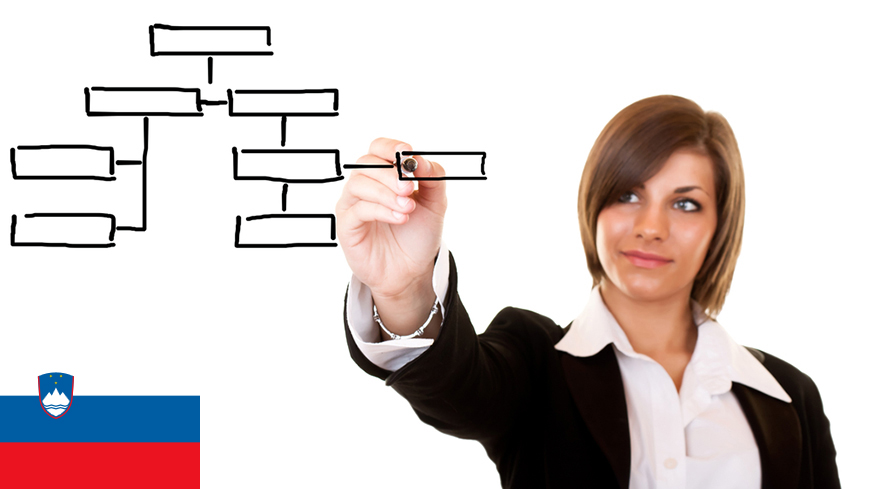 Slovenia - 1. Organisations